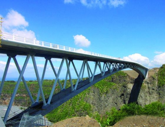 Passerelle sur la Bras de la Plaine a la Reunion